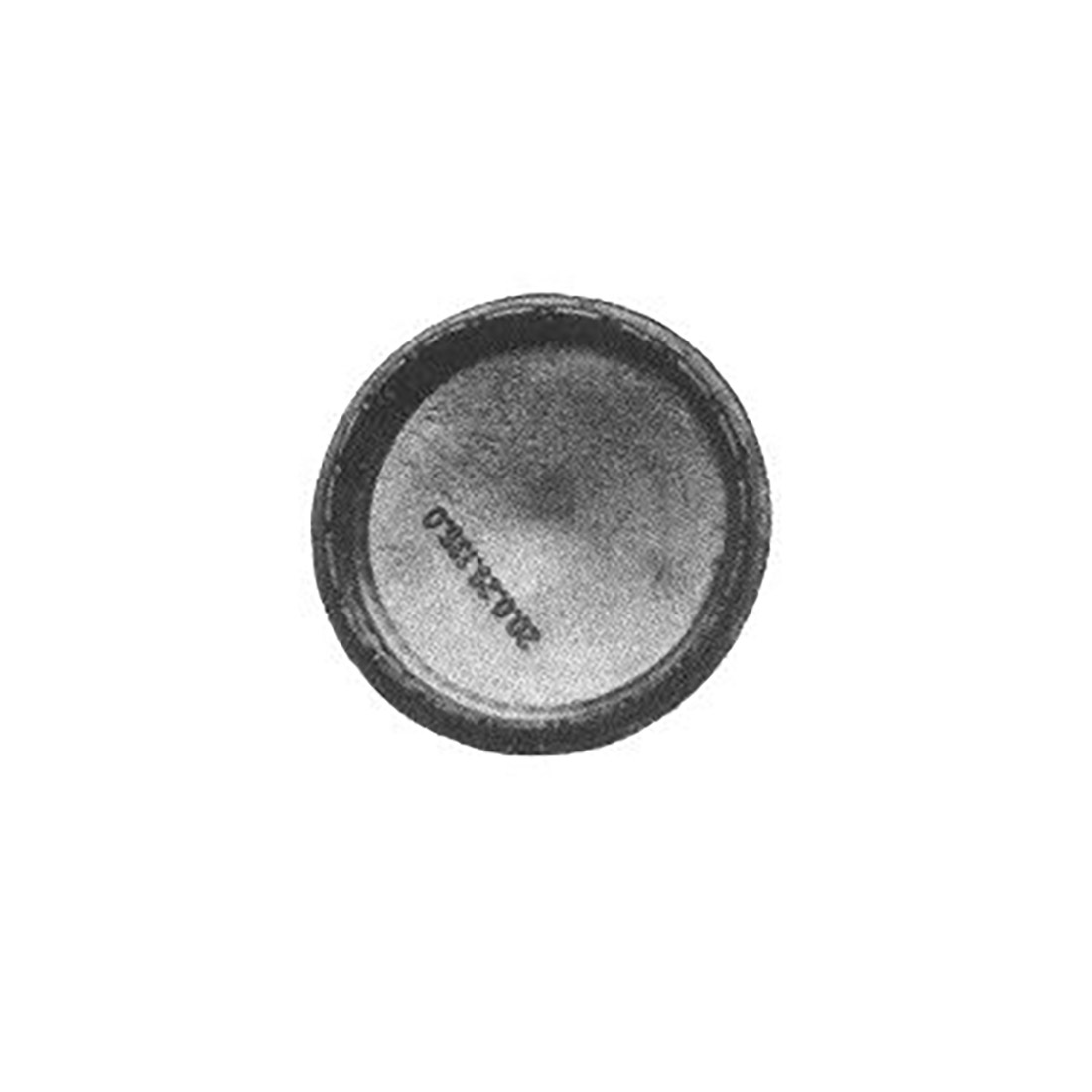 SP. OTT. FOR. L/TIPO ARISTON R. - L0213 - immagine 1